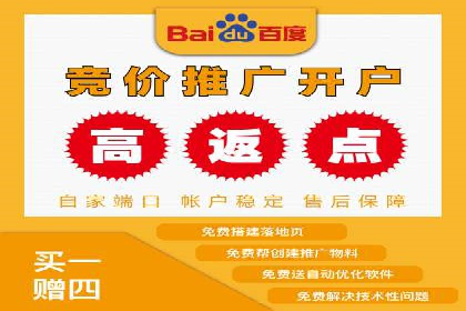 案例分享：SEM广告投放助力电商增长
